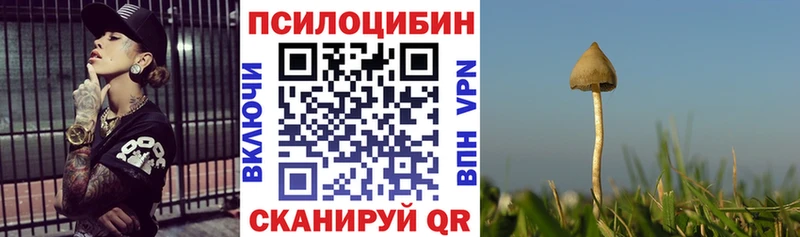 Псилоцибиновые грибы прущие грибы  Каневская 